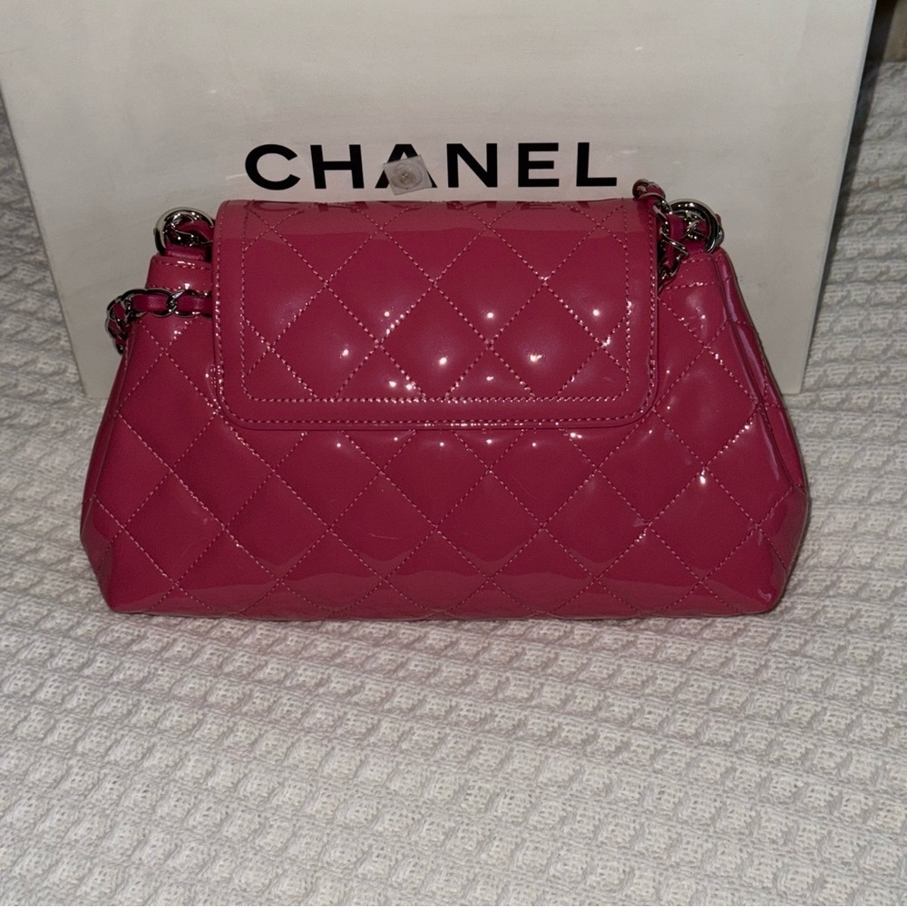 Chanel 2015 Coco Shine Accordion Flap Bag - Picture 4 of 11